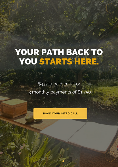 Kura Root Reset |  3-Month Private Health Mentorship