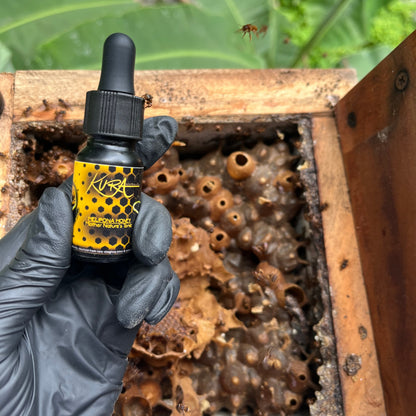 Stingless Bee Honey